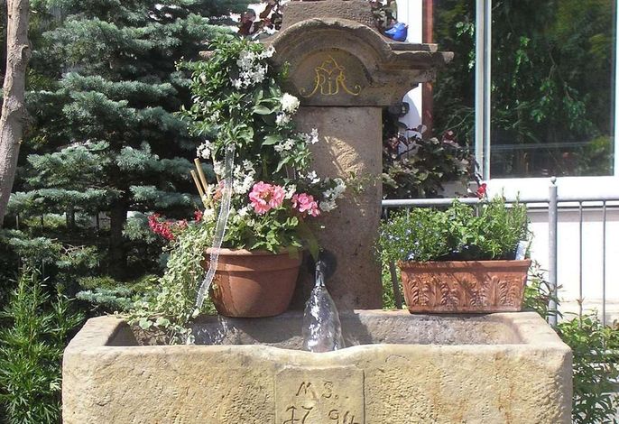 Bild 7