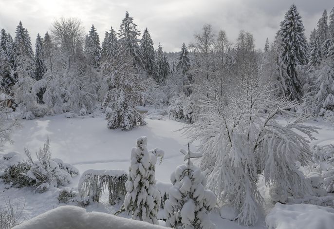 Bild 15