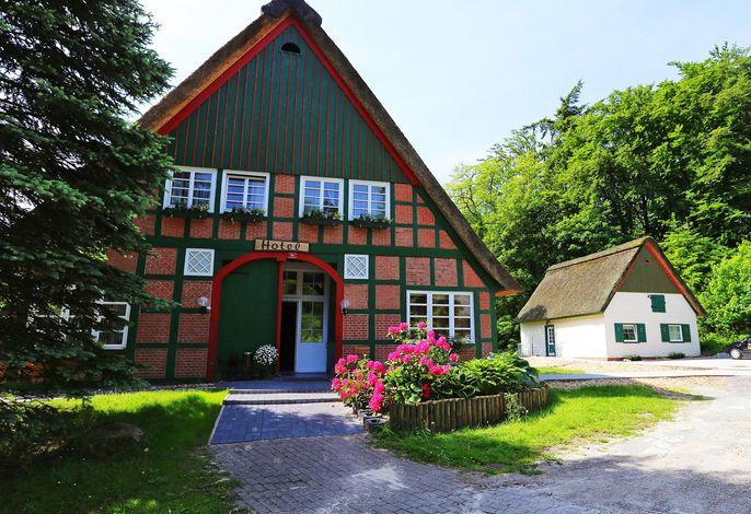 Bild 20