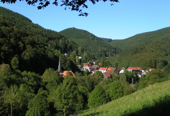 Bild 8