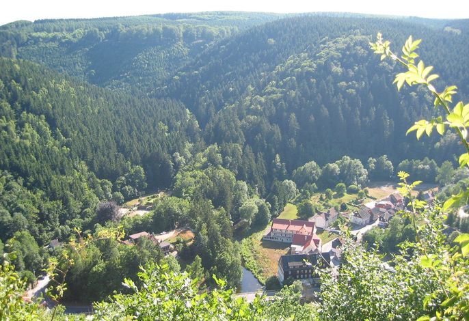 Bild 7