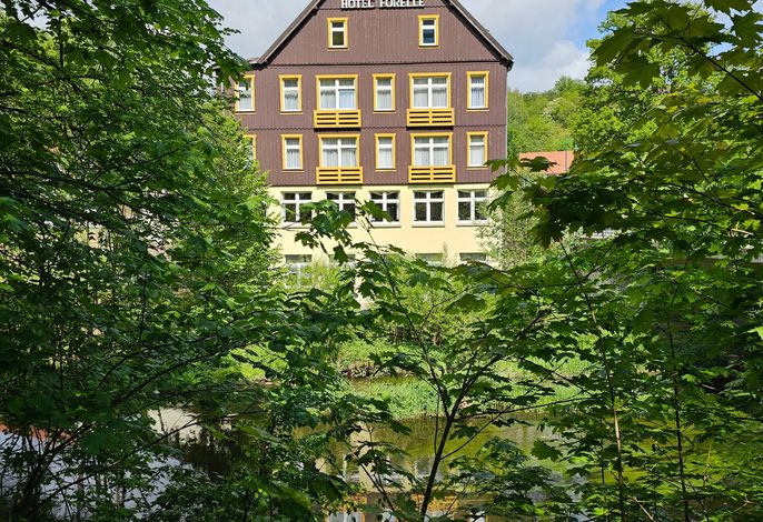 Bild 16