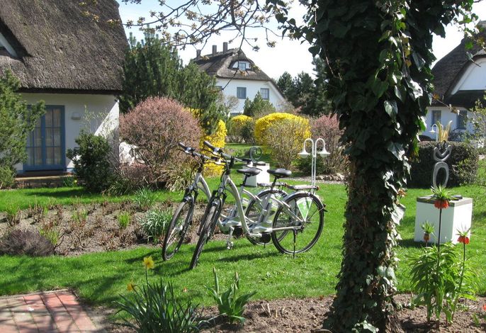 Bild 14