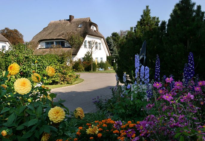Bild 34
