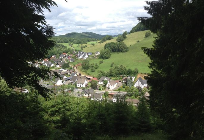 Bild 13