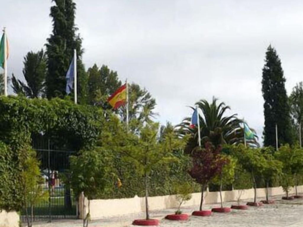 Curia Clube Apartments