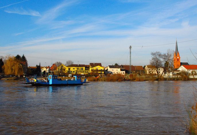 Bild 12