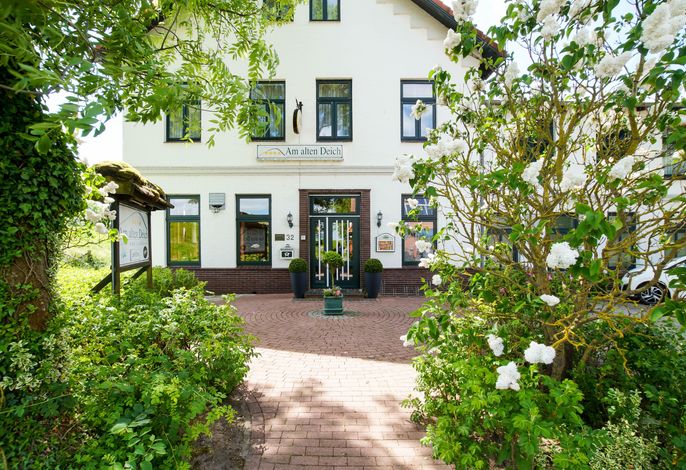 Bild 12
