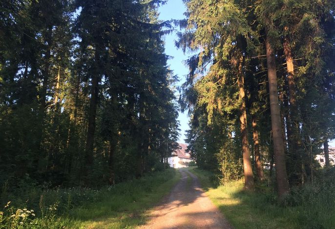 Bild 16
