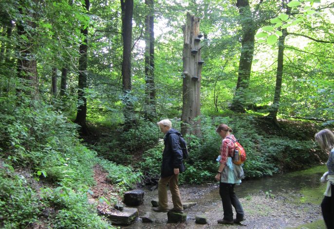 Bild 12