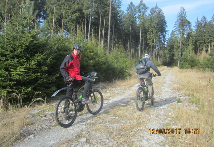 Bild 15