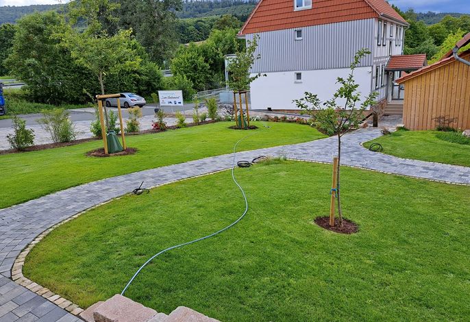 Bild 11