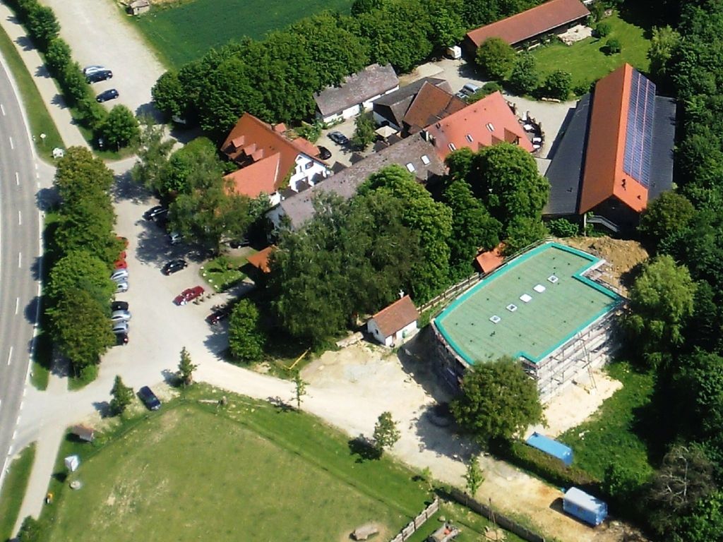 Waldvogel