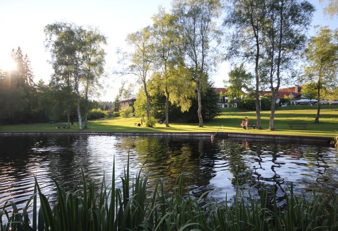 Bild 12