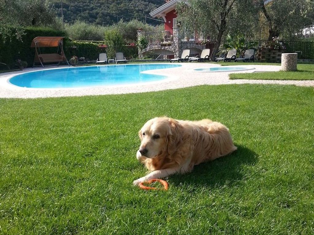 Eco Hotel Benacus