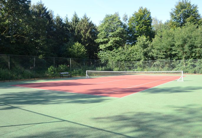 Bild 19
