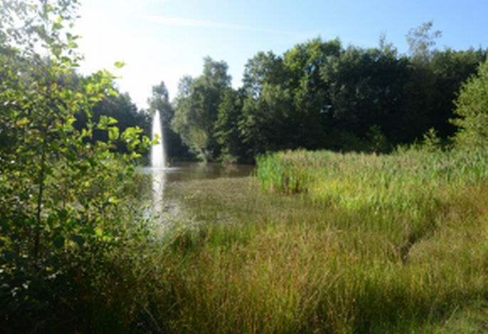 Bild 20