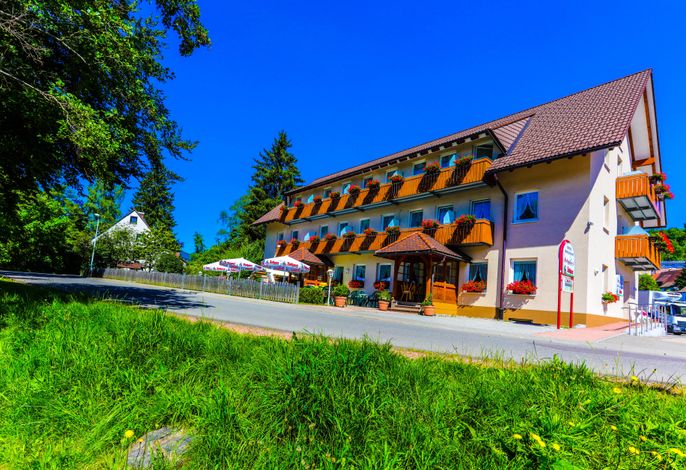 Bild 14