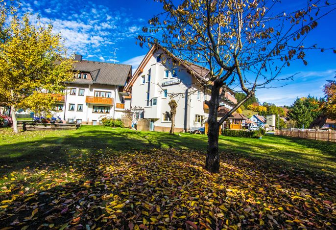 Bild 15