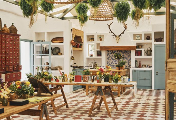 Bild 123