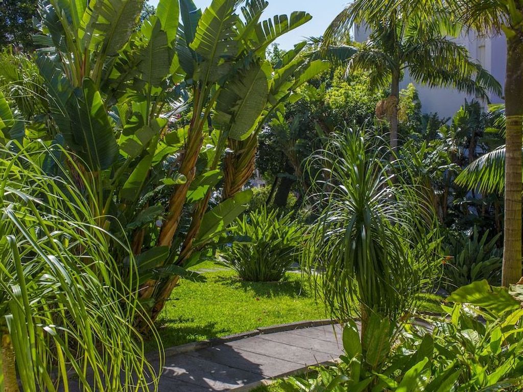 Dorisol Estrelicia Hotel
