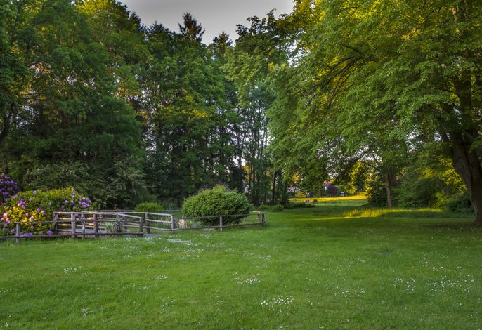Bild 15