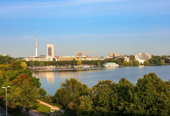Bild 11