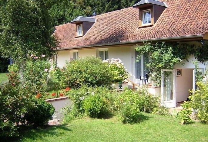 Bild 12