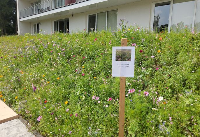 Bild 16