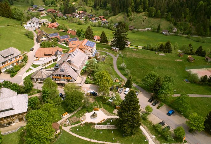 Bild 20