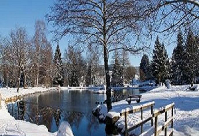 Bild 15
