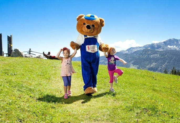 Bild 12