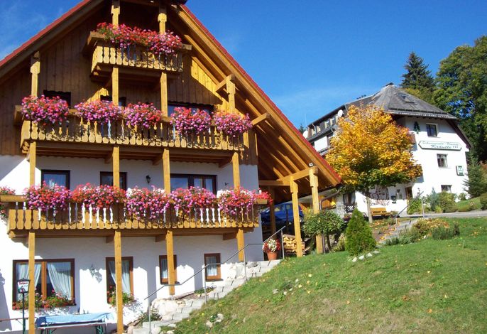 Bild 10