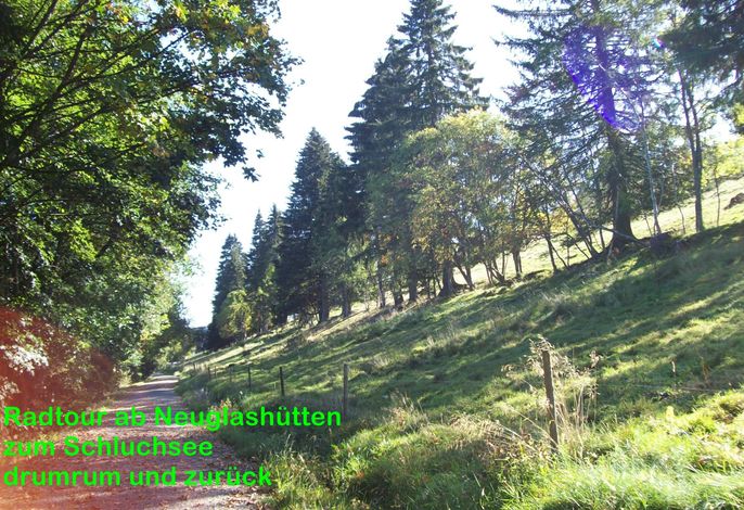 Bild 13