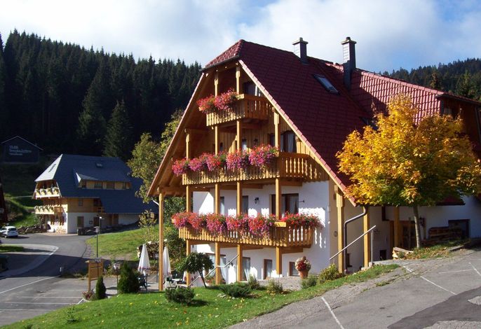 Bild 7