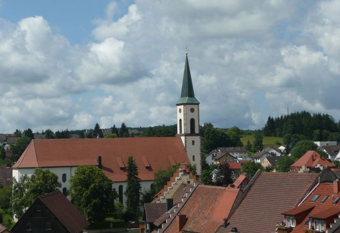Bild 15