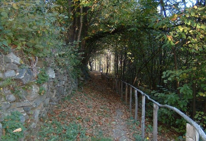 Bild 16