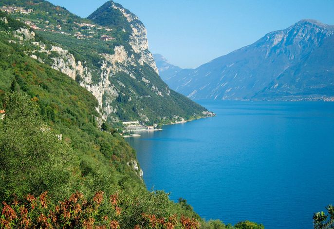 Bild 16