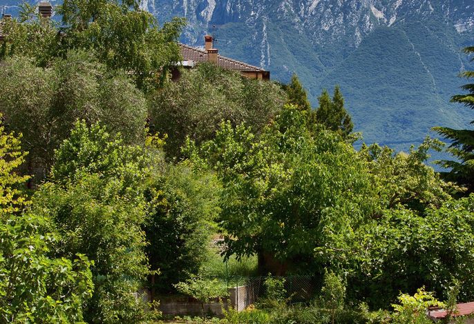 Bild 32