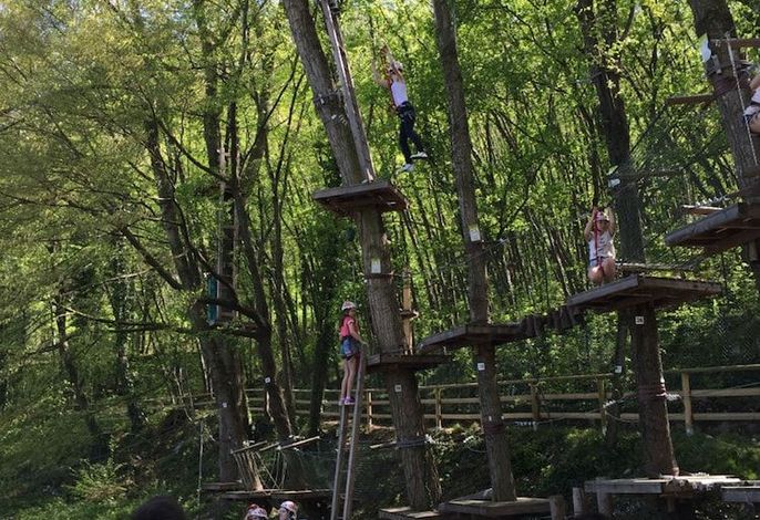 Bild 52