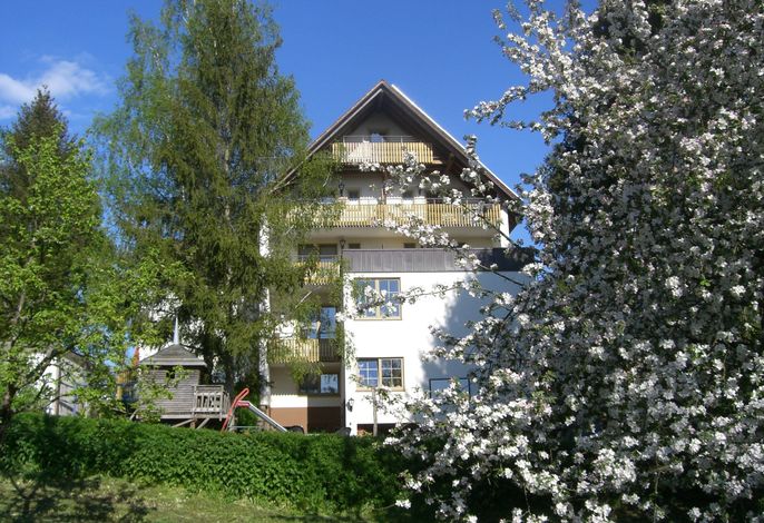 Bild 12