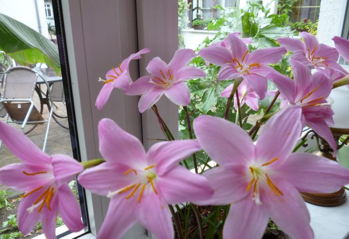 Bild 12