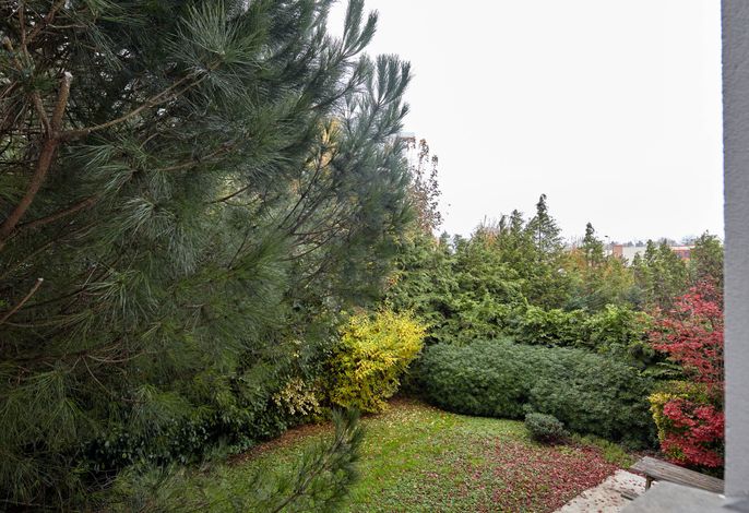 Bild 15