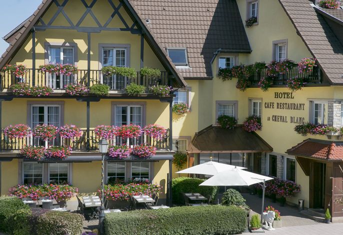 Bild 71