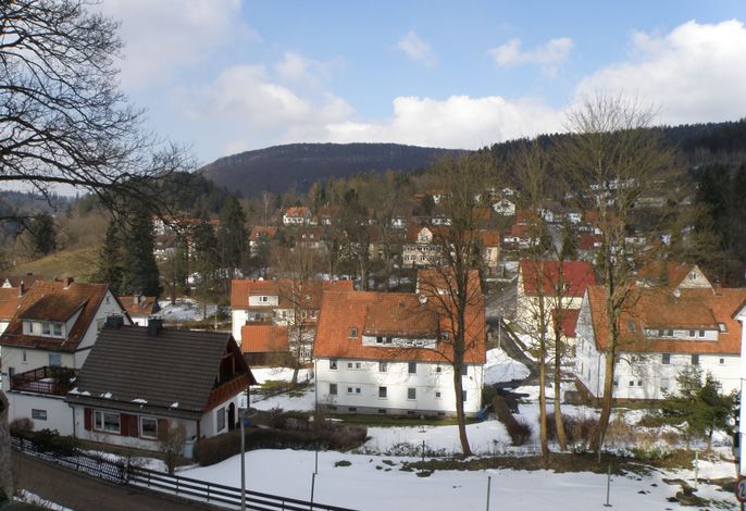 Bild 19