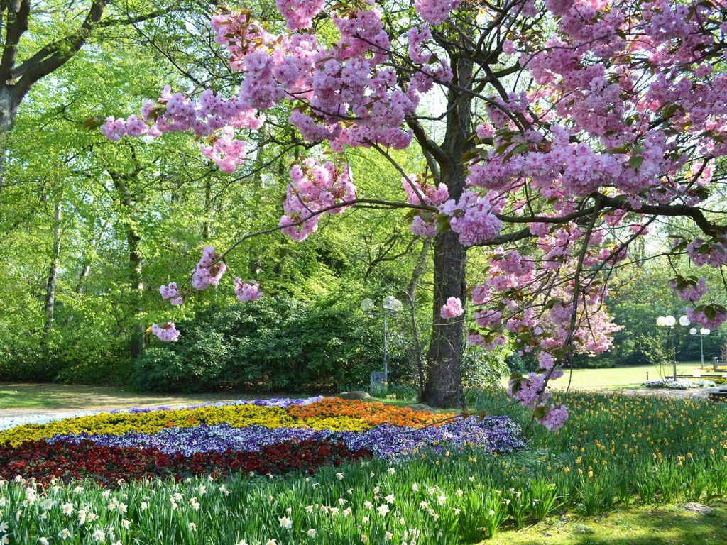 Pension Am Kurpark