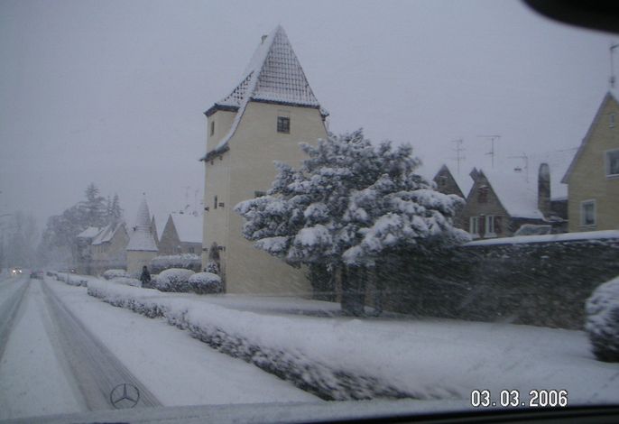Bild 15