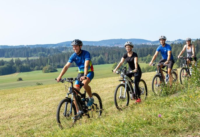 Bild 13