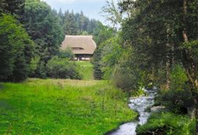 Bild 13