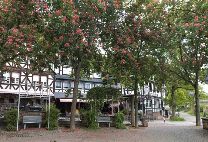 Bild 20